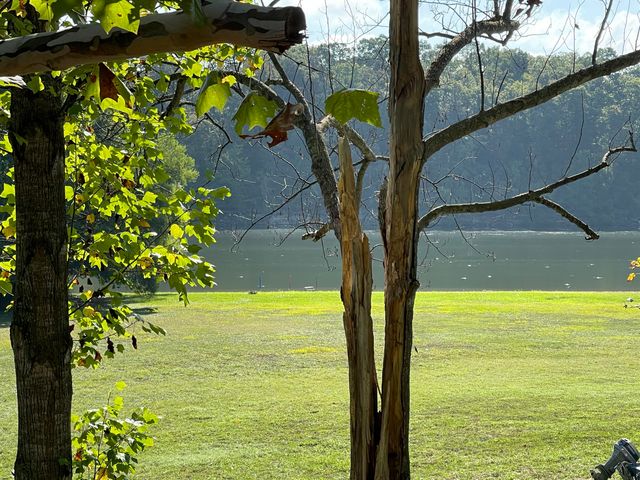 441 Cane Cove Road, Cape Fair, MO 65624