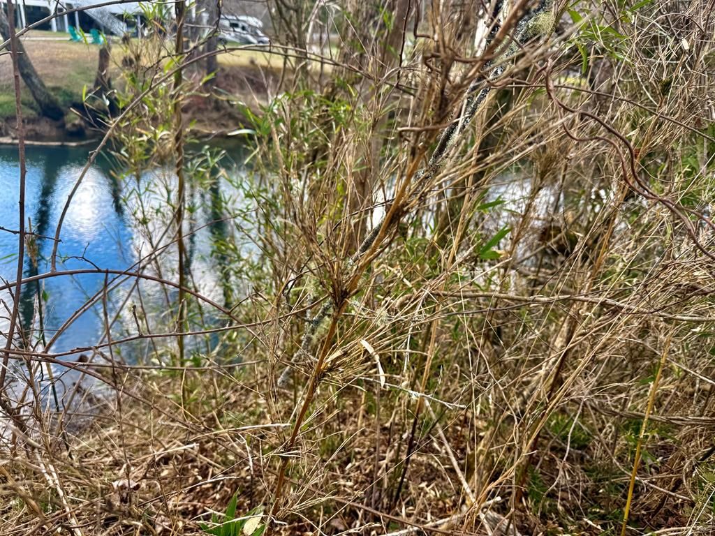 0 Butterball Boulevard, Murphy, NC 28906