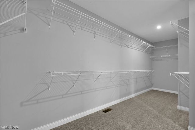 132 Cinnamon Teal Street, Pickerington, OH 43147
