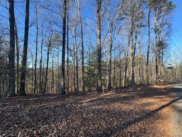 0 Rebekah Ridge, Talking Rock, GA 30175