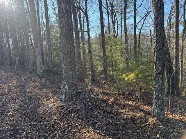 0 Rebekah Ridge, Talking Rock, GA 30175