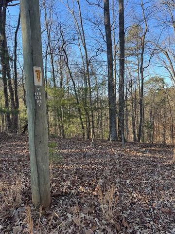 0 Rebekah Ridge, Talking Rock, GA 30175