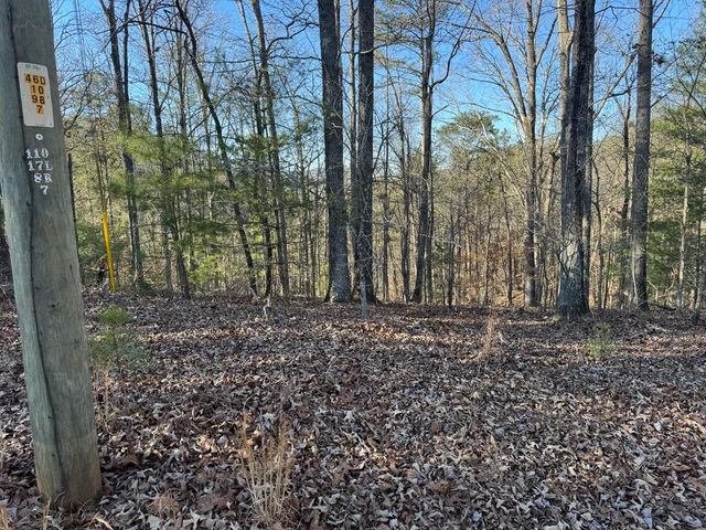 0 Rebekah Ridge, Talking Rock, GA 30175