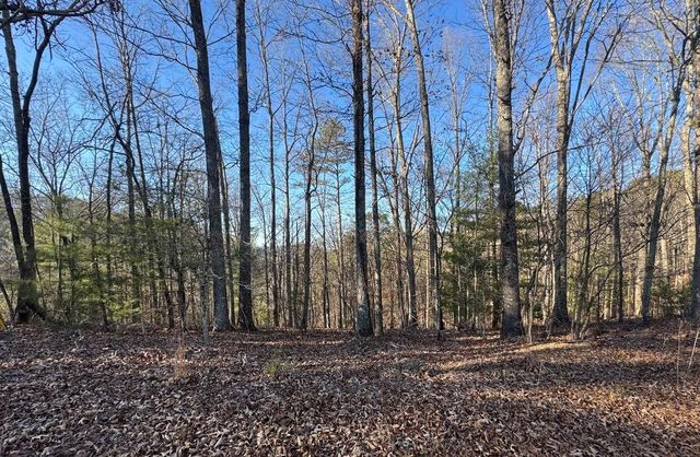 0 Rebekah Ridge, Talking Rock, GA 30175