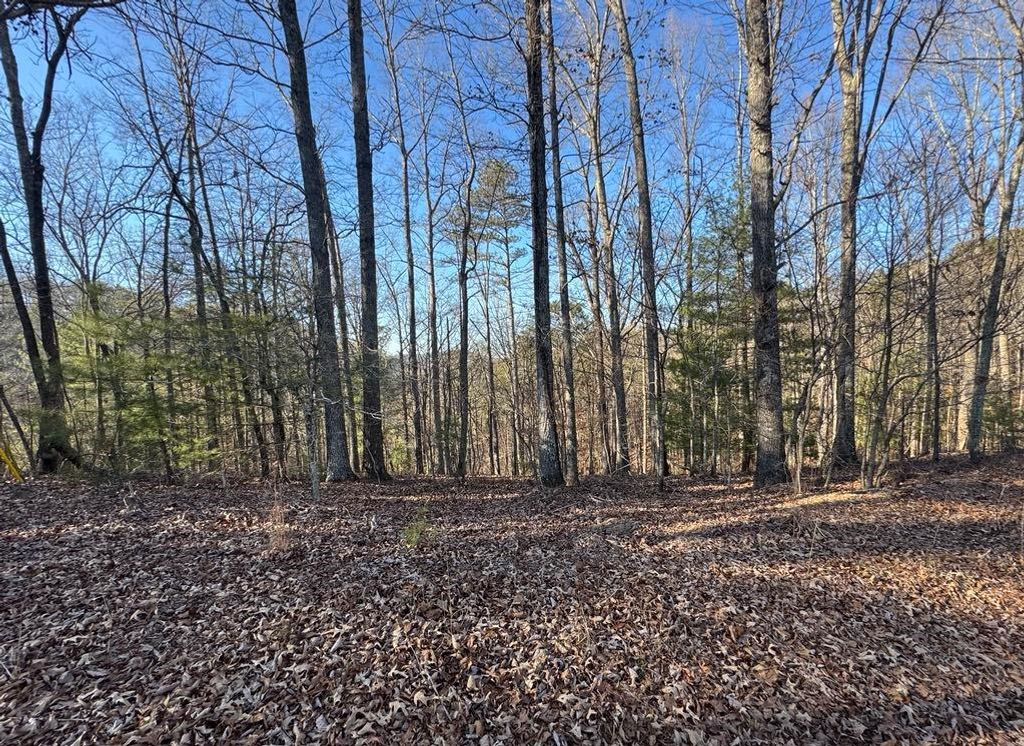 0 Rebekah Ridge, Talking Rock, GA 30175