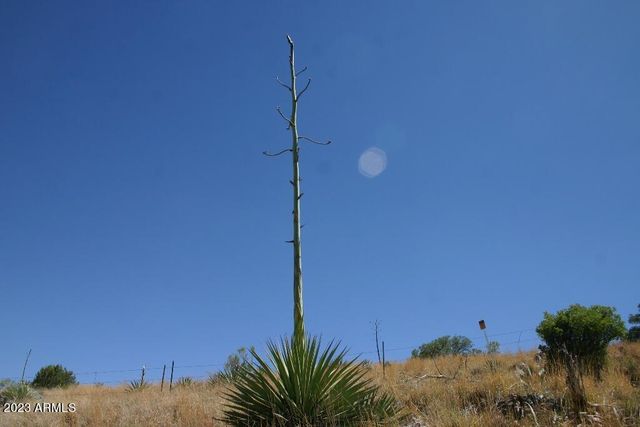 009N One More Road -, Hereford, AZ 85615