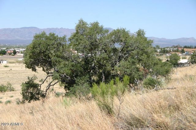 009N One More Road -, Hereford, AZ 85615