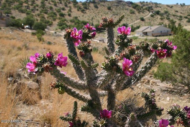 009N One More Road -, Hereford, AZ 85615