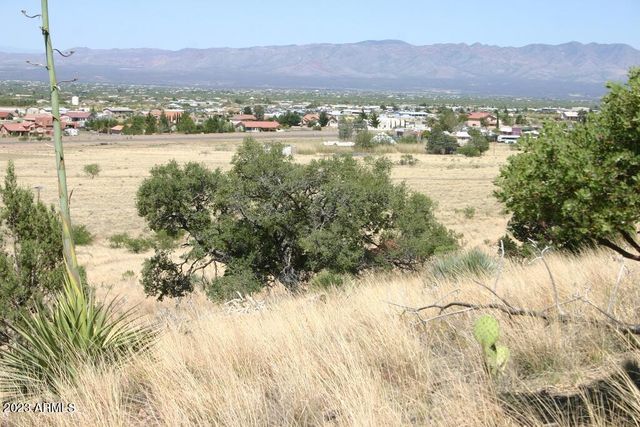 009N One More Road -, Hereford, AZ 85615