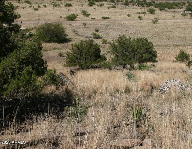 009N One More Road -, Hereford, AZ 85615