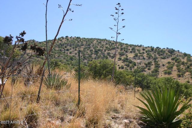 009N One More Road -, Hereford, AZ 85615