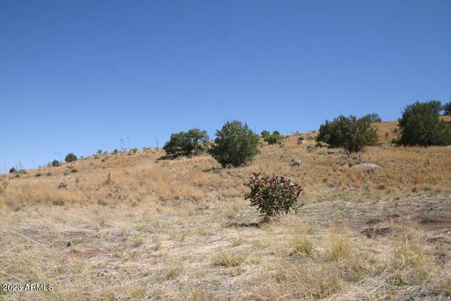 009N One More Road -, Hereford, AZ 85615