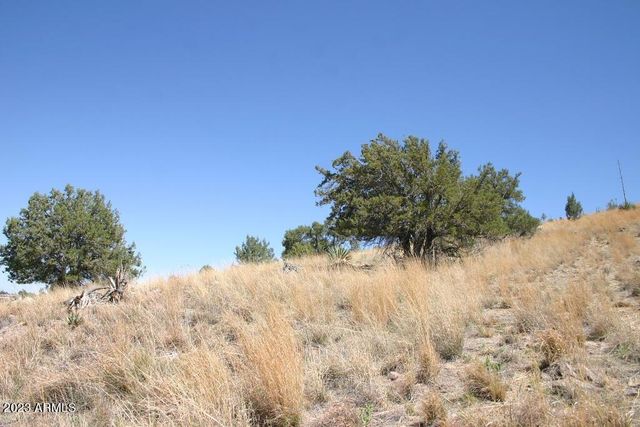 009N One More Road -, Hereford, AZ 85615