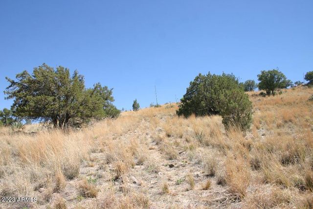 009N One More Road -, Hereford, AZ 85615