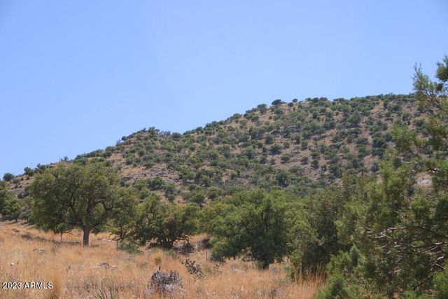 009N One More Road -, Hereford, AZ 85615