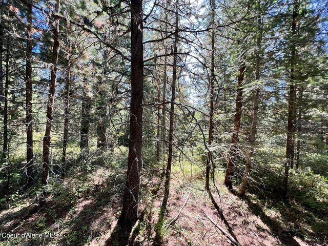 540 Lost Cabin Trail, St. Maries, ID 83861