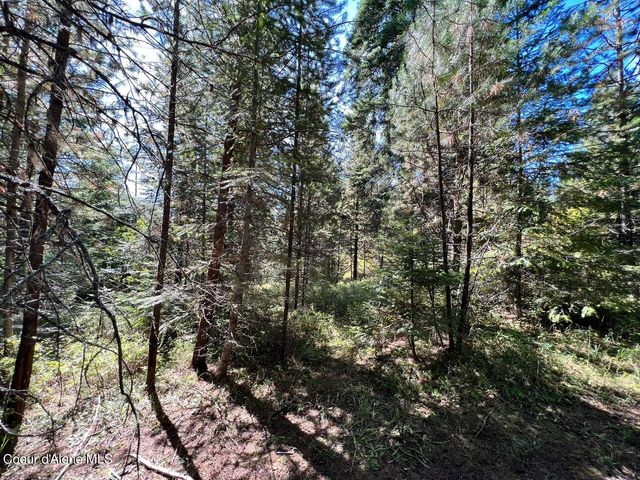 540 Lost Cabin Trail, St. Maries, ID 83861