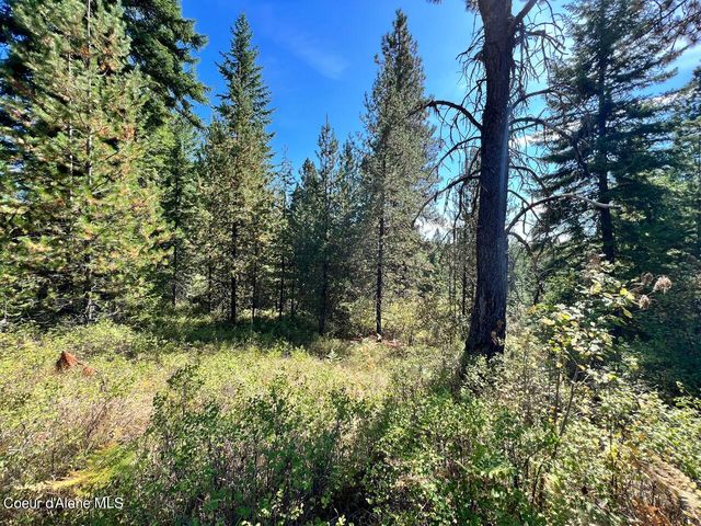540 Lost Cabin Trail, St. Maries, ID 83861