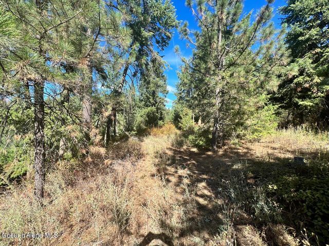 540 Lost Cabin Trail, St. Maries, ID 83861