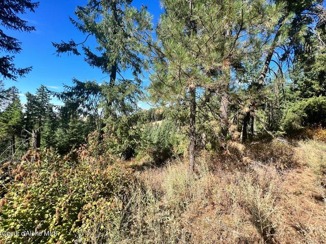 540 Lost Cabin Trail, St. Maries, ID 83861