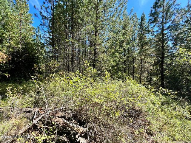 540 Lost Cabin Trail, St. Maries, ID 83861