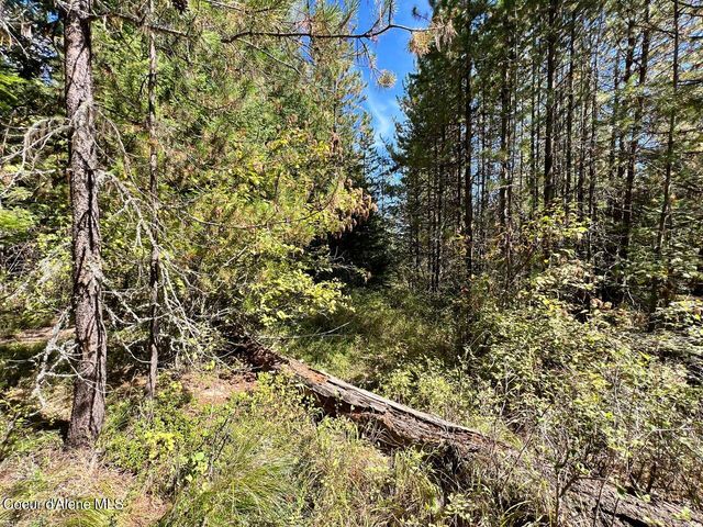 540 Lost Cabin Trail, St. Maries, ID 83861