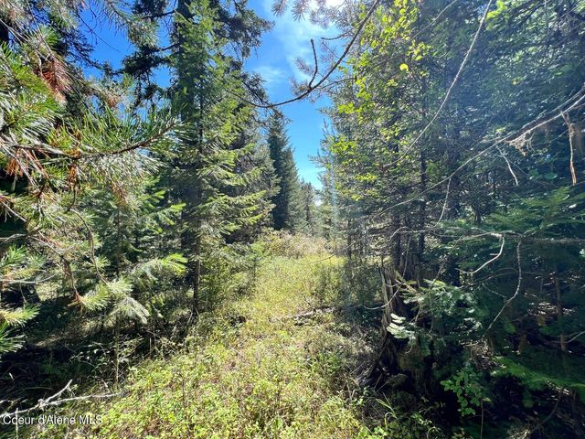 540 Lost Cabin Trail, St. Maries, ID 83861