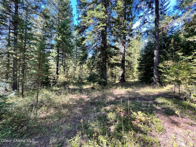 540 Lost Cabin Trail, St. Maries, ID 83861