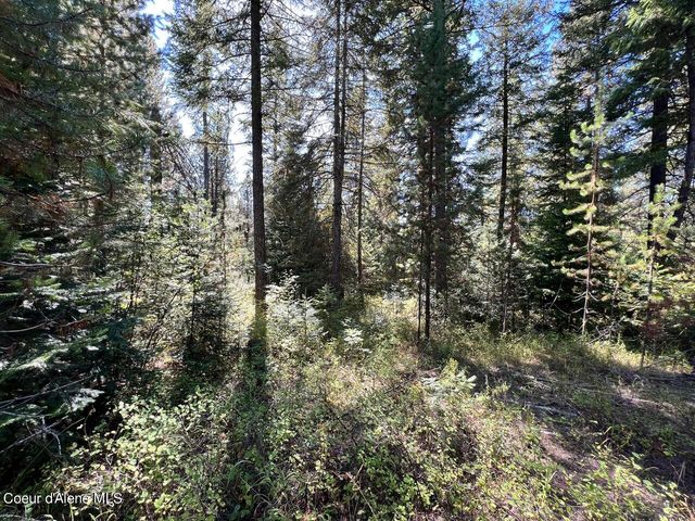 540 Lost Cabin Trail, St. Maries, ID 83861