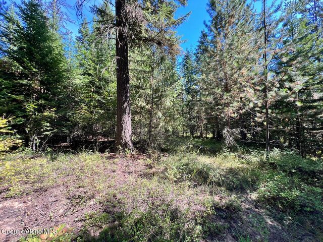 540 Lost Cabin Trail, St. Maries, ID 83861