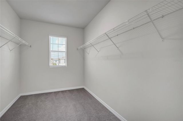 32606 CANYONLANDS DRIVE, Wesley Chapel, FL 33543