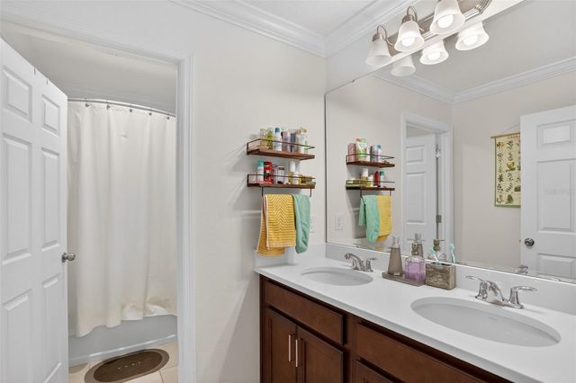 4830 GILDED JEWEL DRIVE, Mount Dora, FL 32757