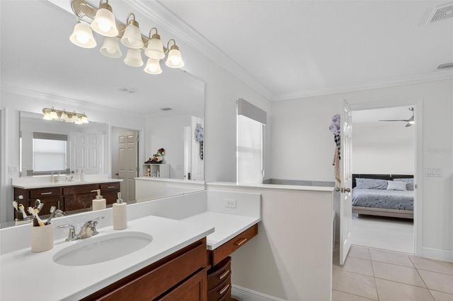 4830 GILDED JEWEL DRIVE, Mount Dora, FL 32757