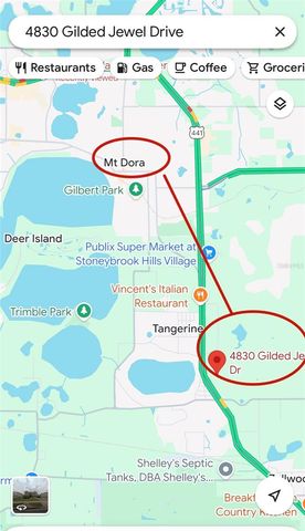 4830 GILDED JEWEL DRIVE, Mount Dora, FL 32757