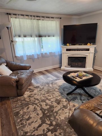 20911 NE 142ND PLACE, Fort Mc Coy, FL 32134