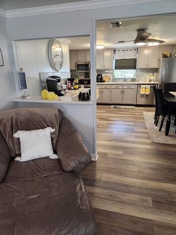 20911 NE 142ND PLACE, Fort Mc Coy, FL 32134