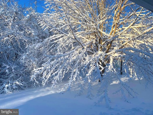 19 WALNUT HILL RD, La Plata, MD 20646