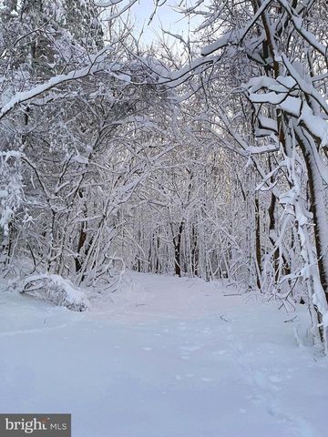 19 WALNUT HILL RD, La Plata, MD 20646