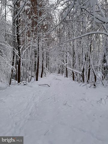 19 WALNUT HILL RD, La Plata, MD 20646