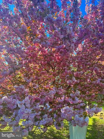 19 WALNUT HILL RD, La Plata, MD 20646