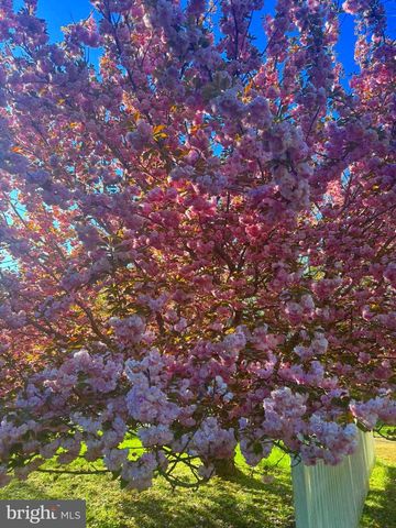 19 WALNUT HILL RD, La Plata, MD 20646