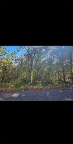 609 N BRIGHTON ROAD, Lecanto, FL 34461