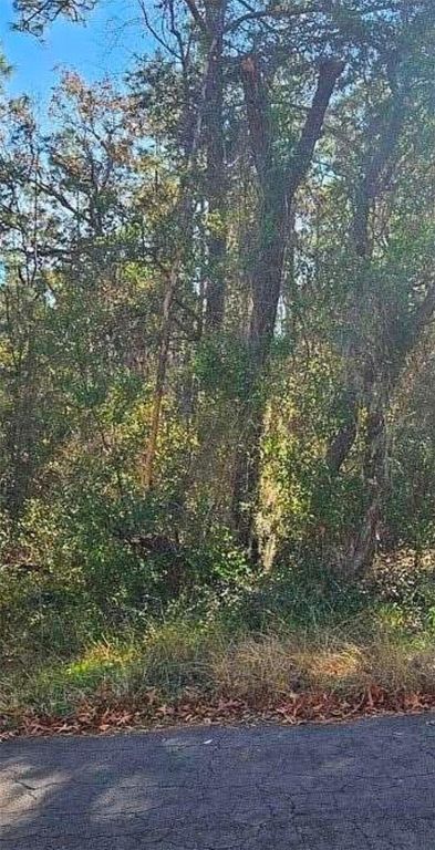 609 N BRIGHTON ROAD, Lecanto, FL 34461