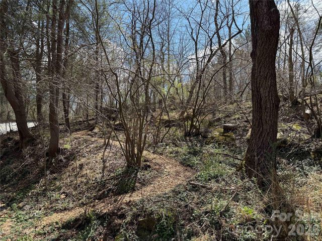 4 Zachary Ridge Road, Asheville, NC 28804