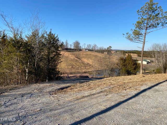 5875 Blue Springs Parkway, Mosheim, TN 37818