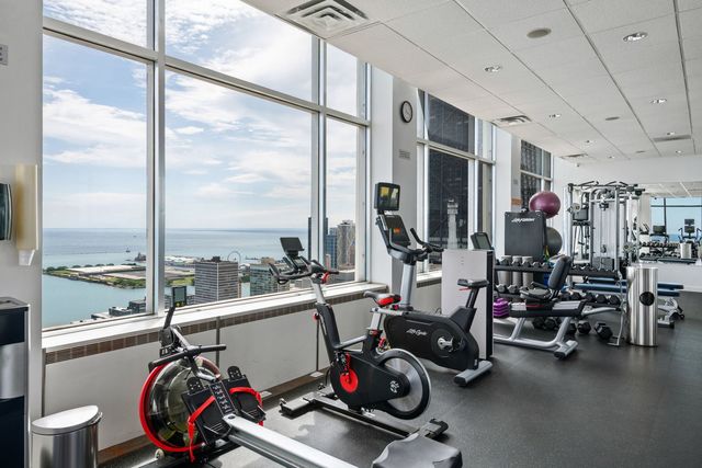 1000 N LAKE SHORE Plaza 39C, Chicago, IL 60611