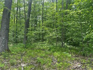 10191 Hardwood Hills Drive, Hayward, WI 54843
