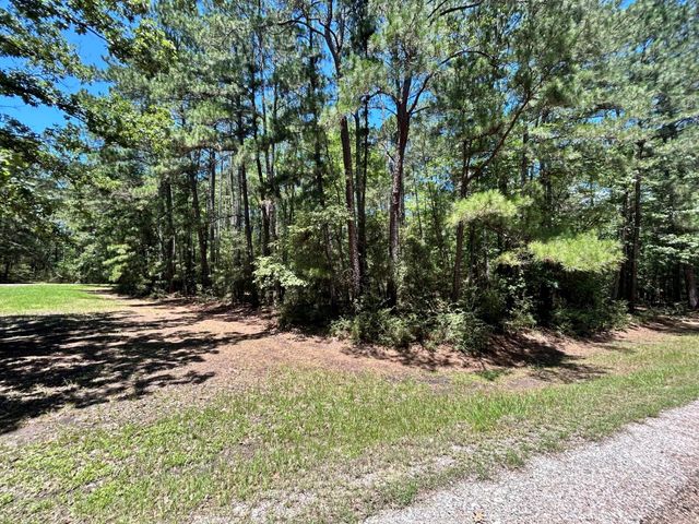 Lot 19 Bh Caroll Street, Trinity, TX 75862