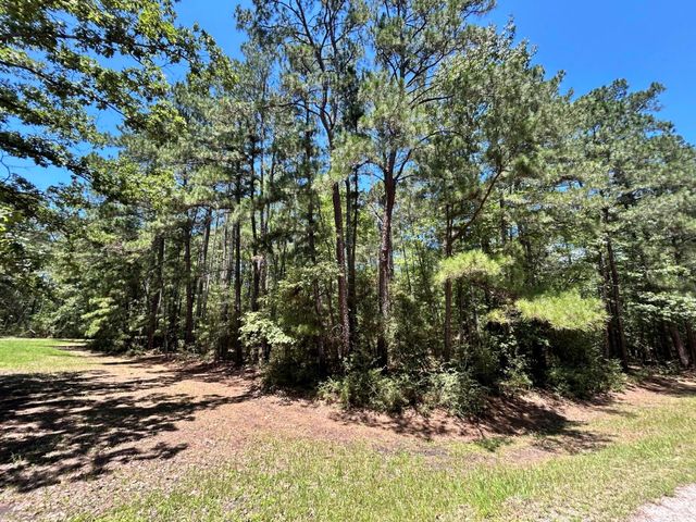 Lot 19 Bh Caroll Street, Trinity, TX 75862