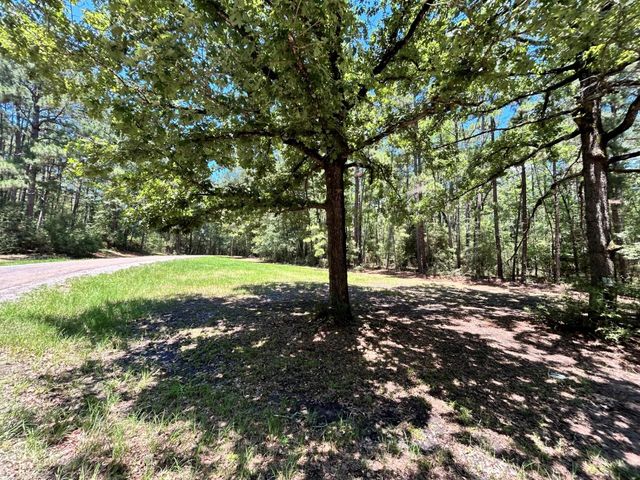 Lot 19 Bh Caroll Street, Trinity, TX 75862